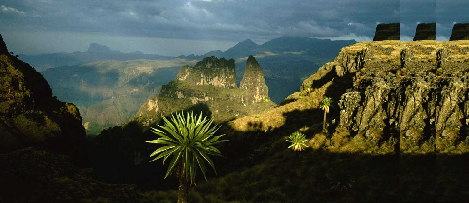 Bale Mountains